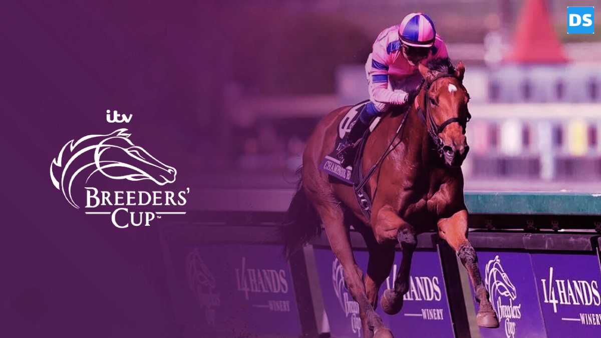 2023 Breeders Cup: Schedule, Tv, Streaming, Predictions And Odds